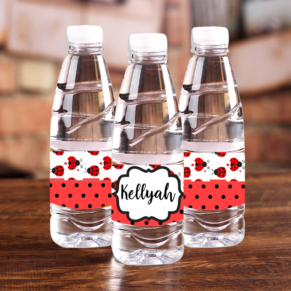 Personalised Ladybug Red Polka - Baby Food Name recensie en prijs